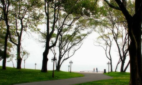 秦皇岛西港花园中有个观海平台!