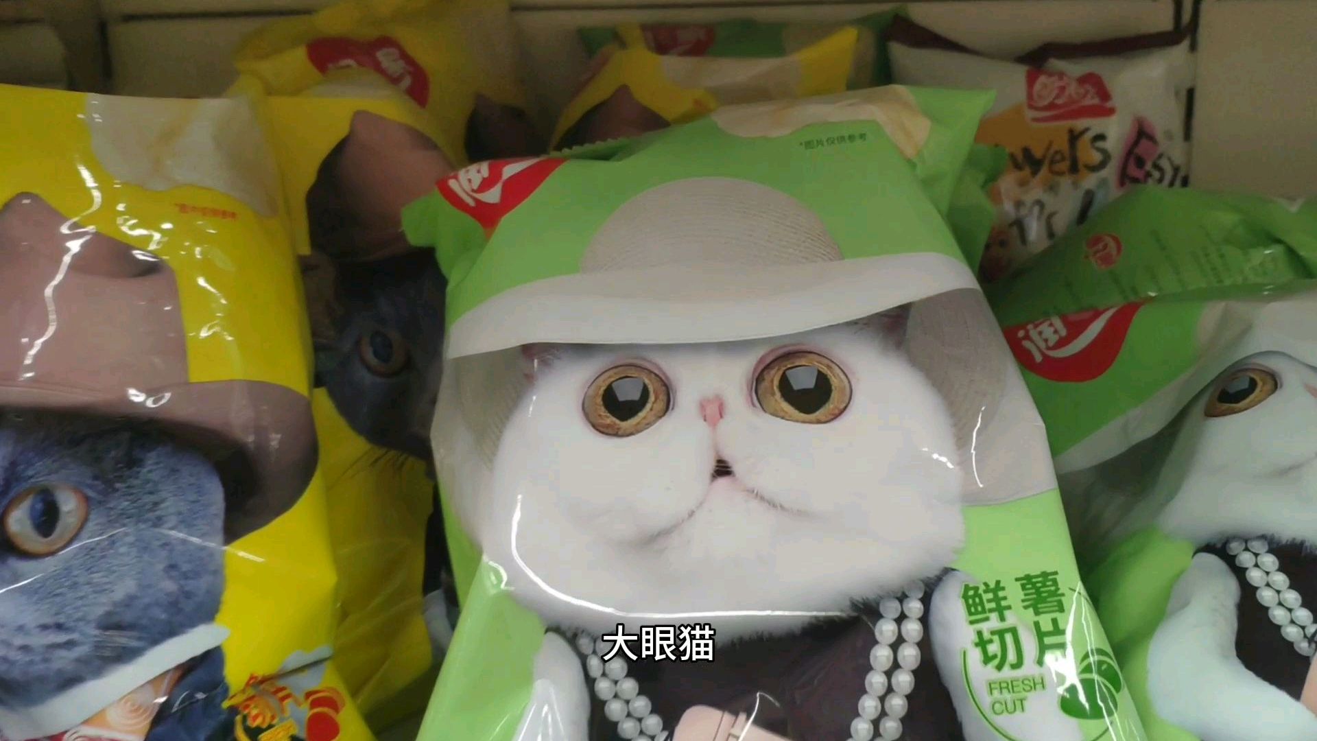 要回老家过年了,晚上又去逛超市,买的全是吃的,这下路上不怕饿