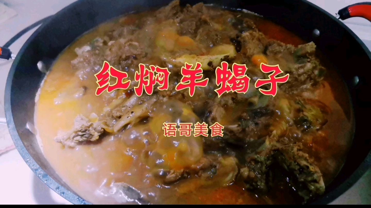 红焖羊蝎子,看语哥吃的我都馋了,真过瘾