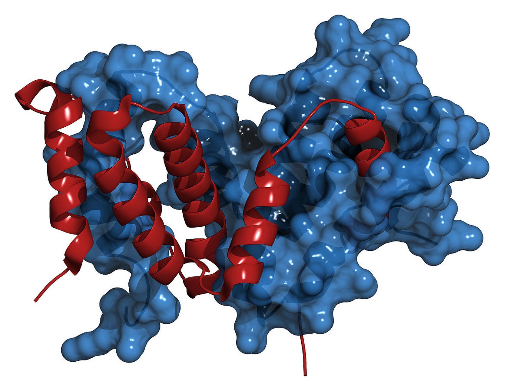 glycosidic图片