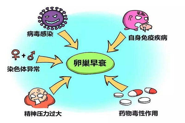 上腹部加強橫膈膜,下腹部加強子宮卵巢區3對手以肚臍為中心,順時針