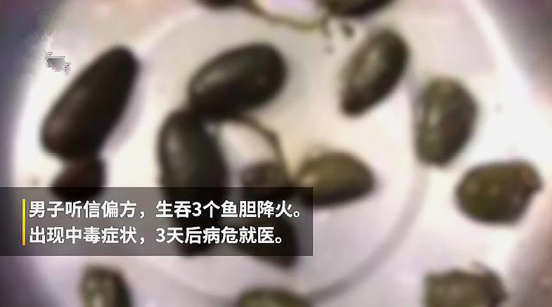 这些坊间传闻能信?四川男子吞生鱼胆中毒肝肾衰竭:听说生吃降火