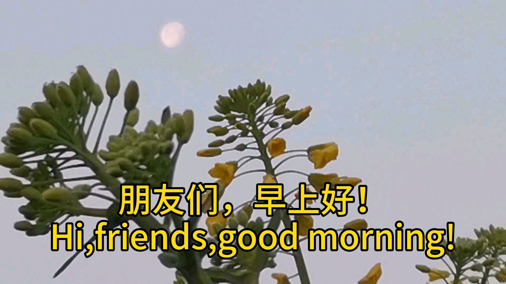 稀有乡村美景,太阳月亮油菜花浓雾,学英语词汇