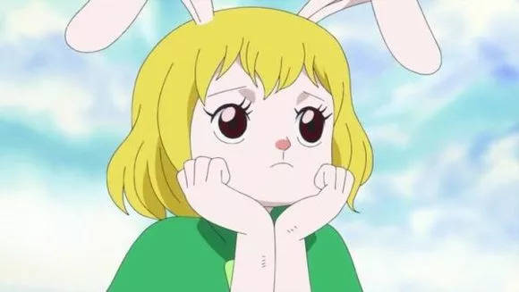 海贼王:兔子加洛特不会上船,海贼船上也不需要专门的瞭望员