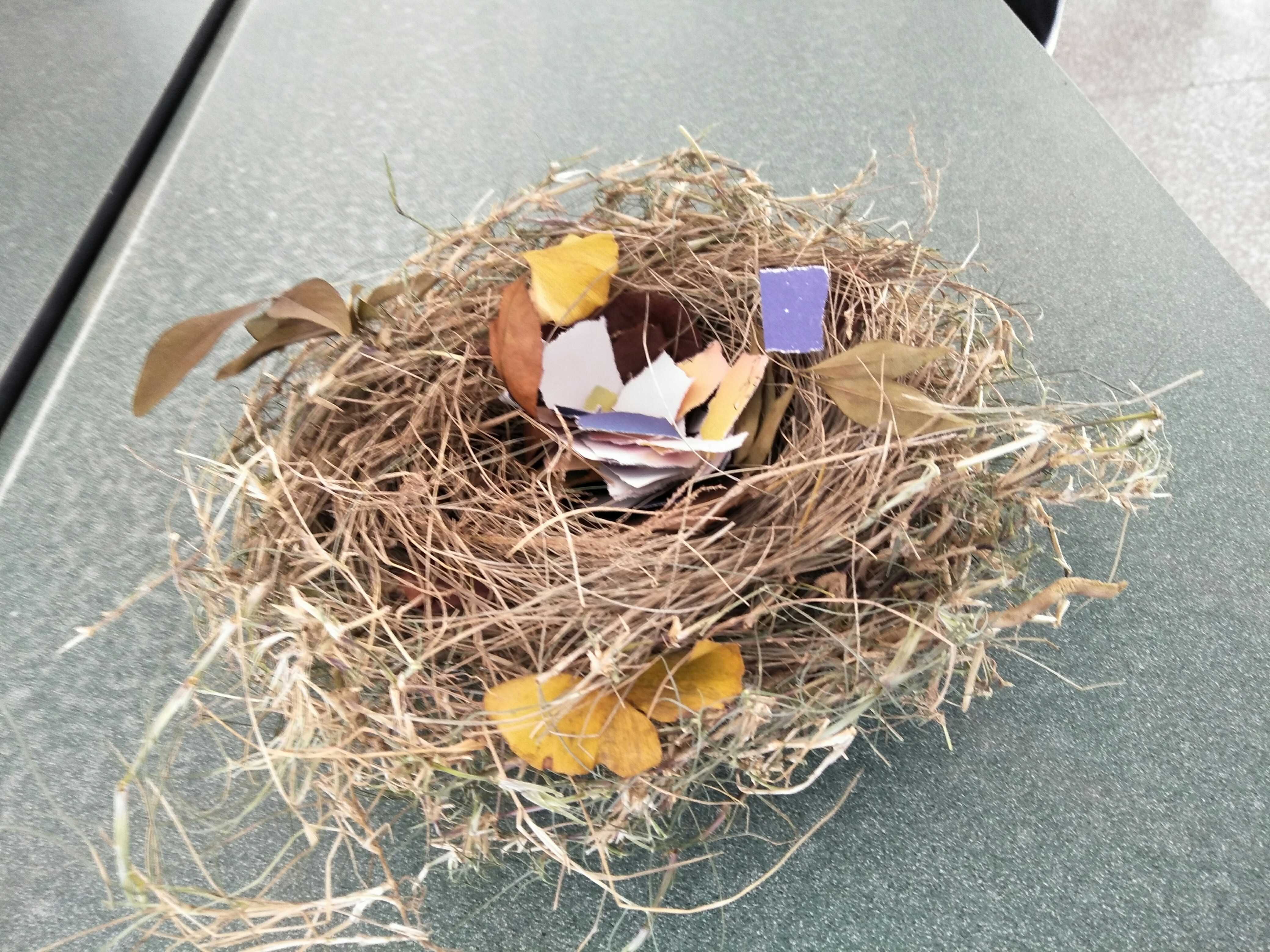 叙永三中"惜粮"废旧物创意手工品比赛获第一名