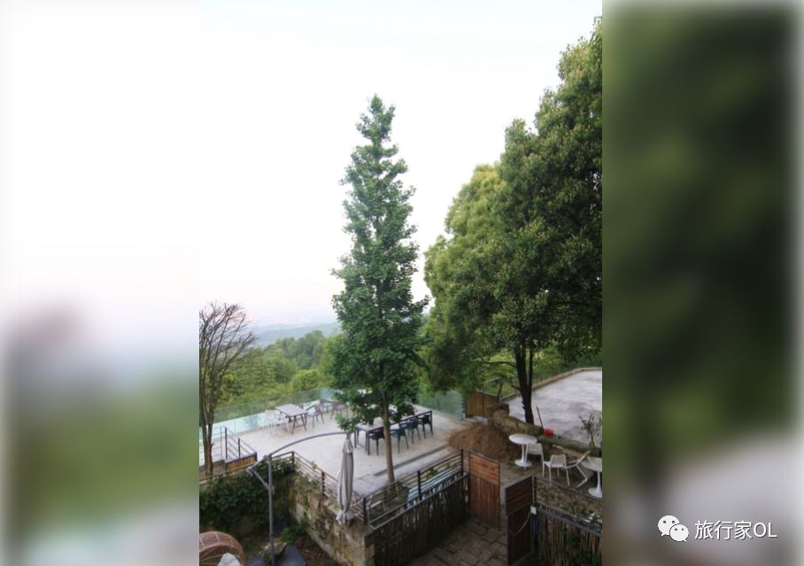 重庆界外美术馆民宿!老旧石屋重获生机,枯木亦可逢春