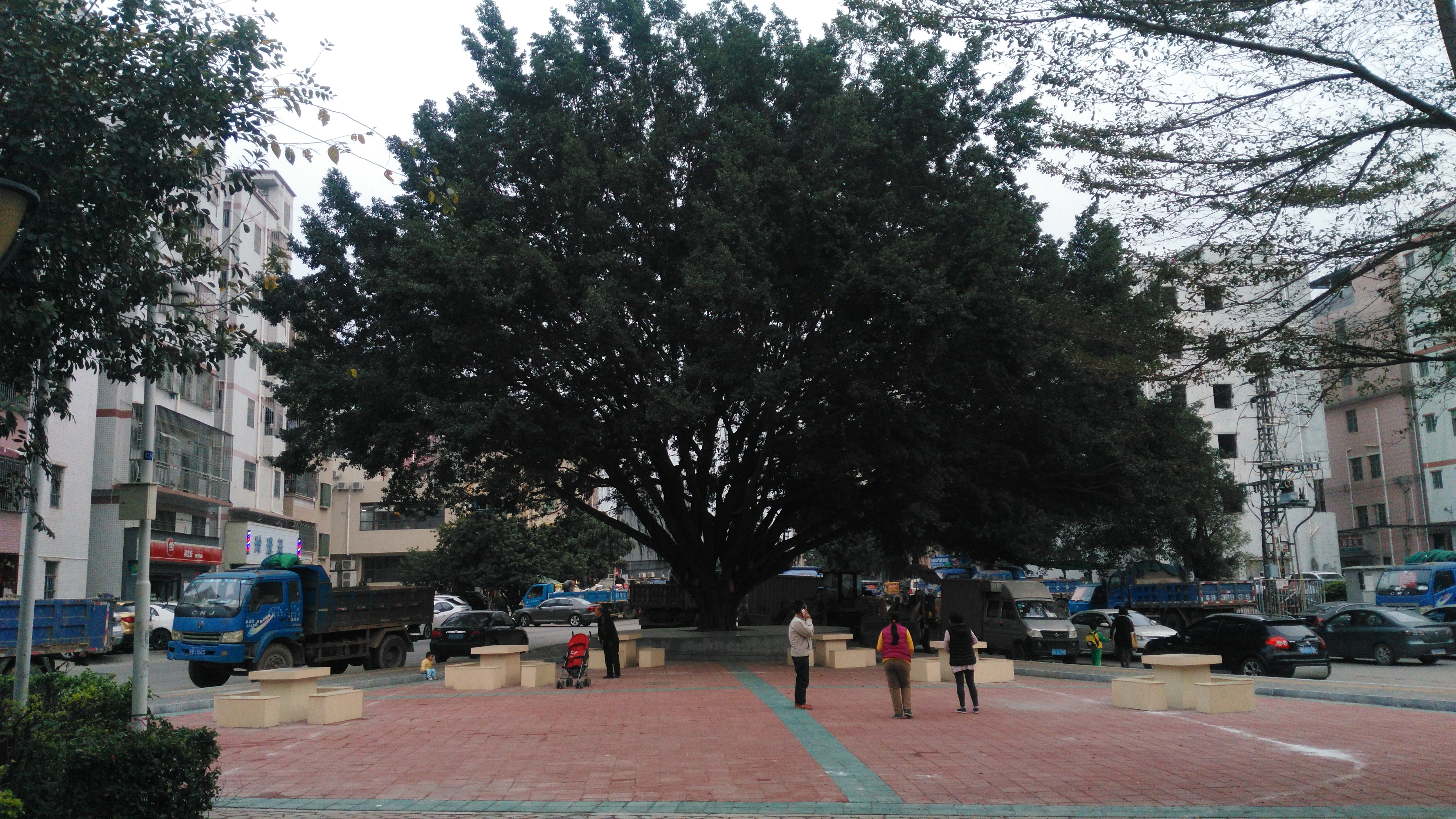 深圳龙岗五联社区路上随拍,我所经过的地方你们认得出吗?