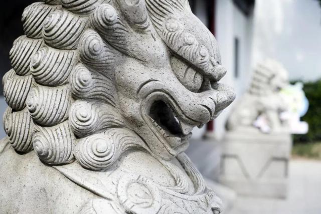 为何大门前的石狮子为何都喜欢"烫"卷发?原来里面大有学问!