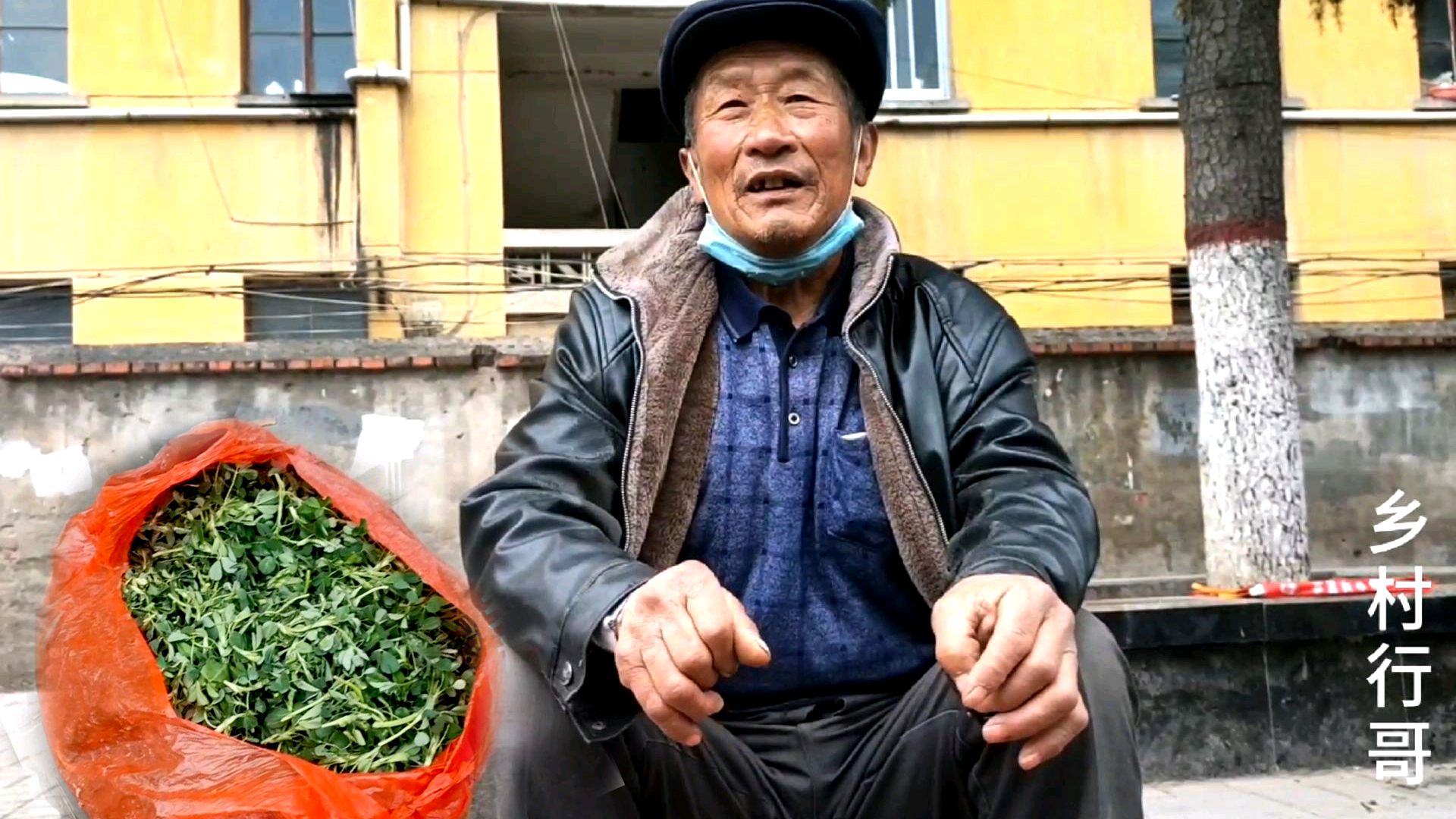 甘肃农村大叔街边卖苜蓿,一天要走20多里路,听听一斤卖多钱