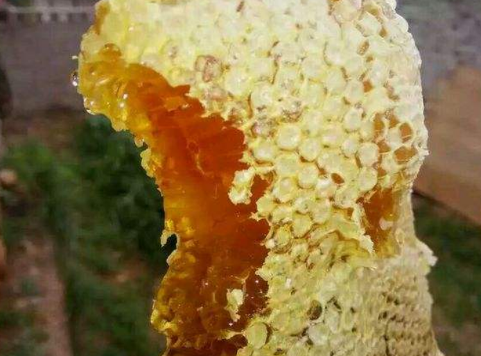 野生花菇 花菇是香菇中的上品,素有"山珍"之称,它以朵大,菇厚,含水量