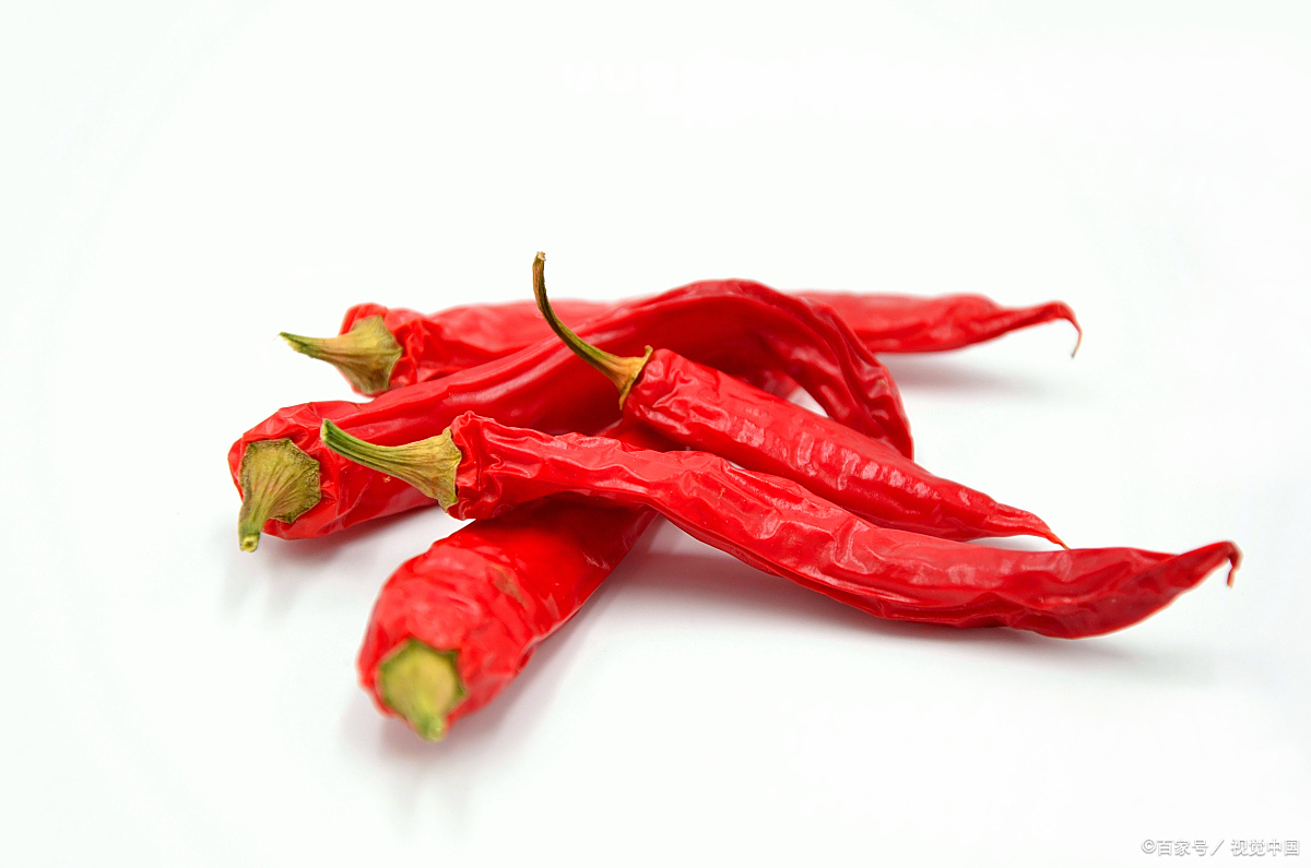 世界上最辣的辣椒,辣椒之王卡罗莱纳死神辣椒,辣得可以把人送进医院