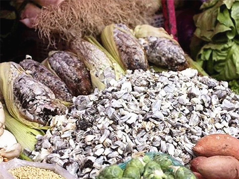 有的地方称这个为玉米乌霉,小孩子非常喜欢吃.