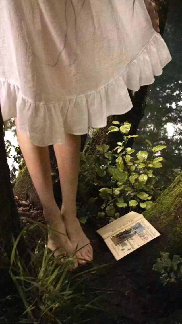 微丧·氟西汀·壁纸:秋天有着迟暮的霞光 正如晚来的你皆是笑意