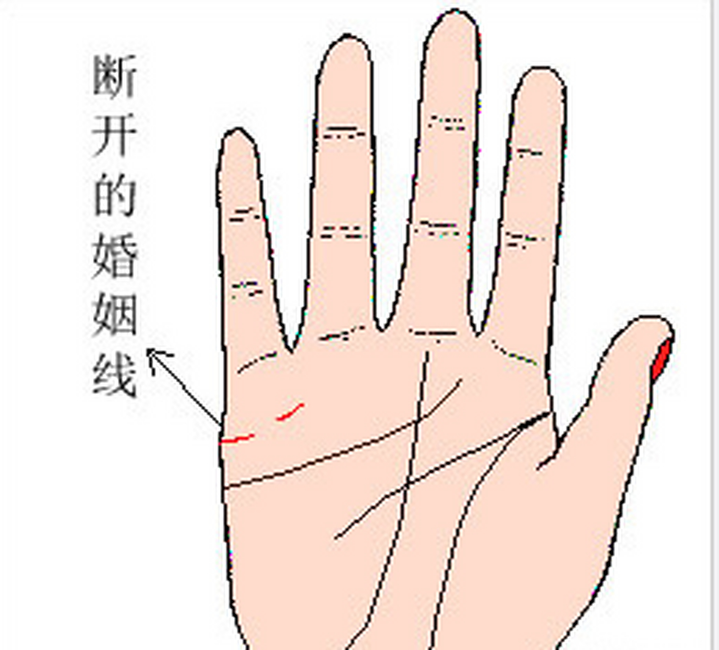 手掌婚姻线中间断裂.手掌婚姻线中间断开好吗?