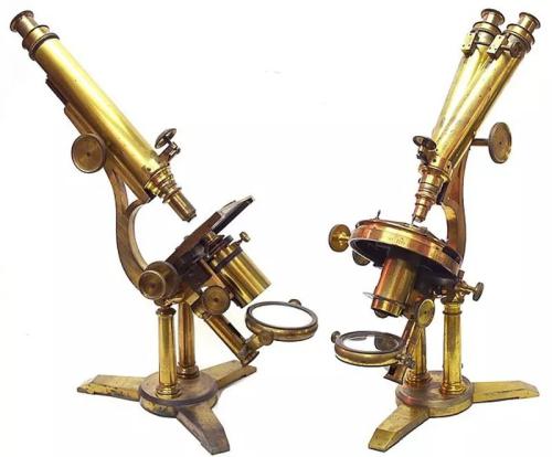 是谁发明了显微镜,列文虎克?还是胡克?