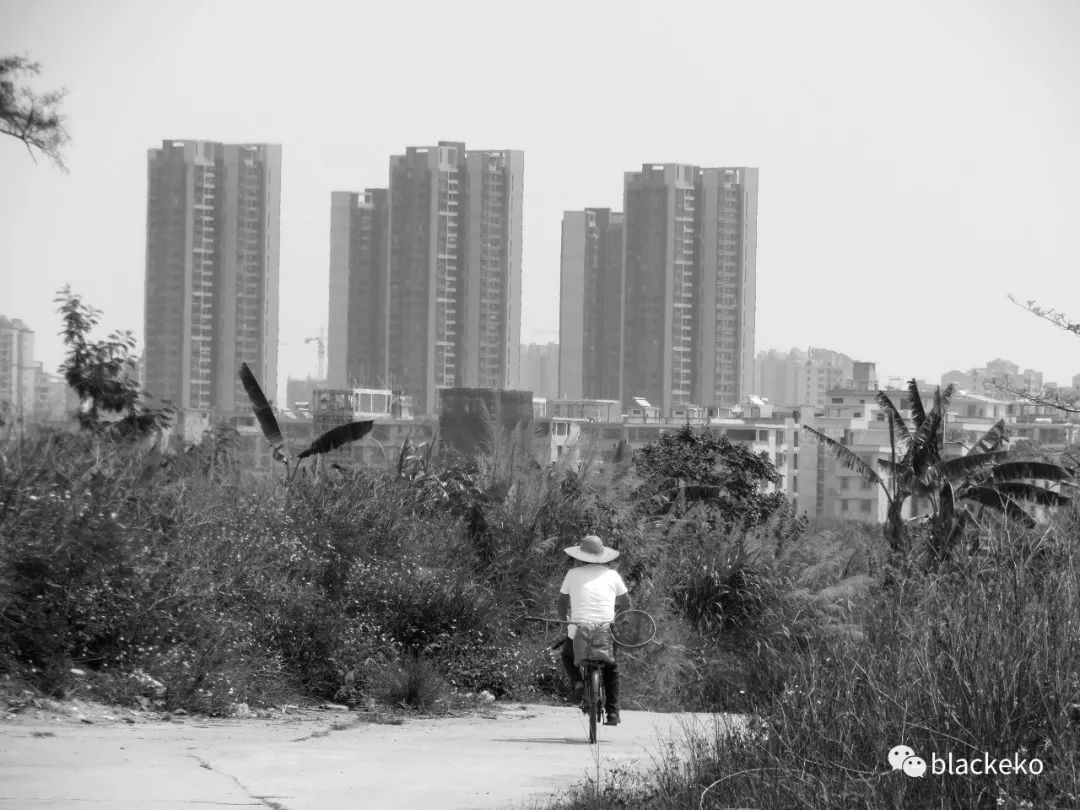 静心而起,城区里读人读景 || blacke