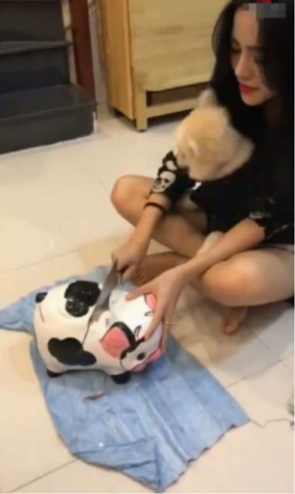 女子急需用钱,敲开攒钱的陶瓷奶牛罐子,结果白高兴一场