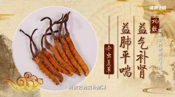 珍贵中药排名