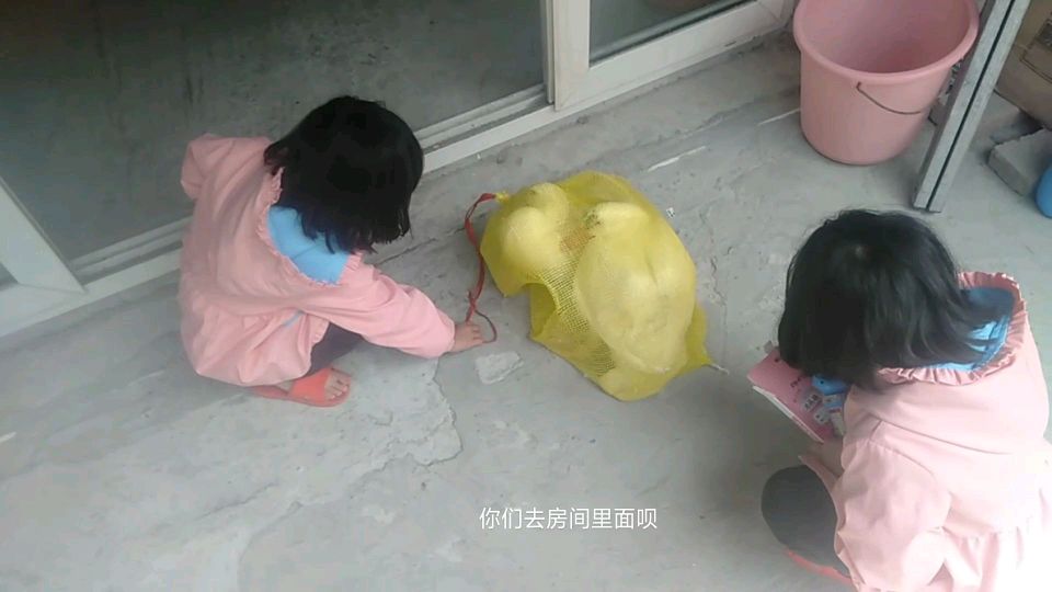 一百块买了两个方鸭,在阳台帮它们做了一个小家,感觉很不错
