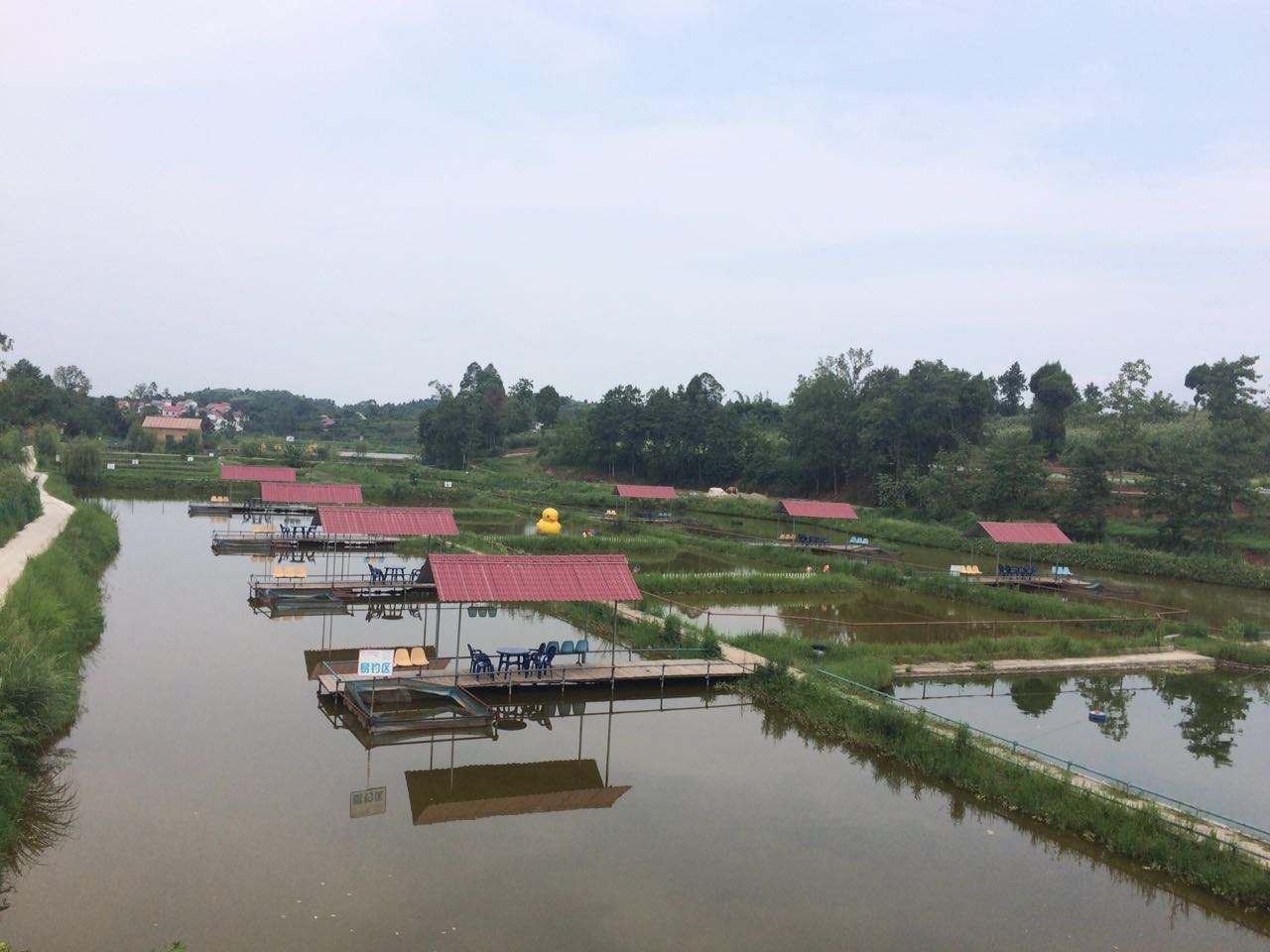 双鸭山小龙虾养殖基地图片