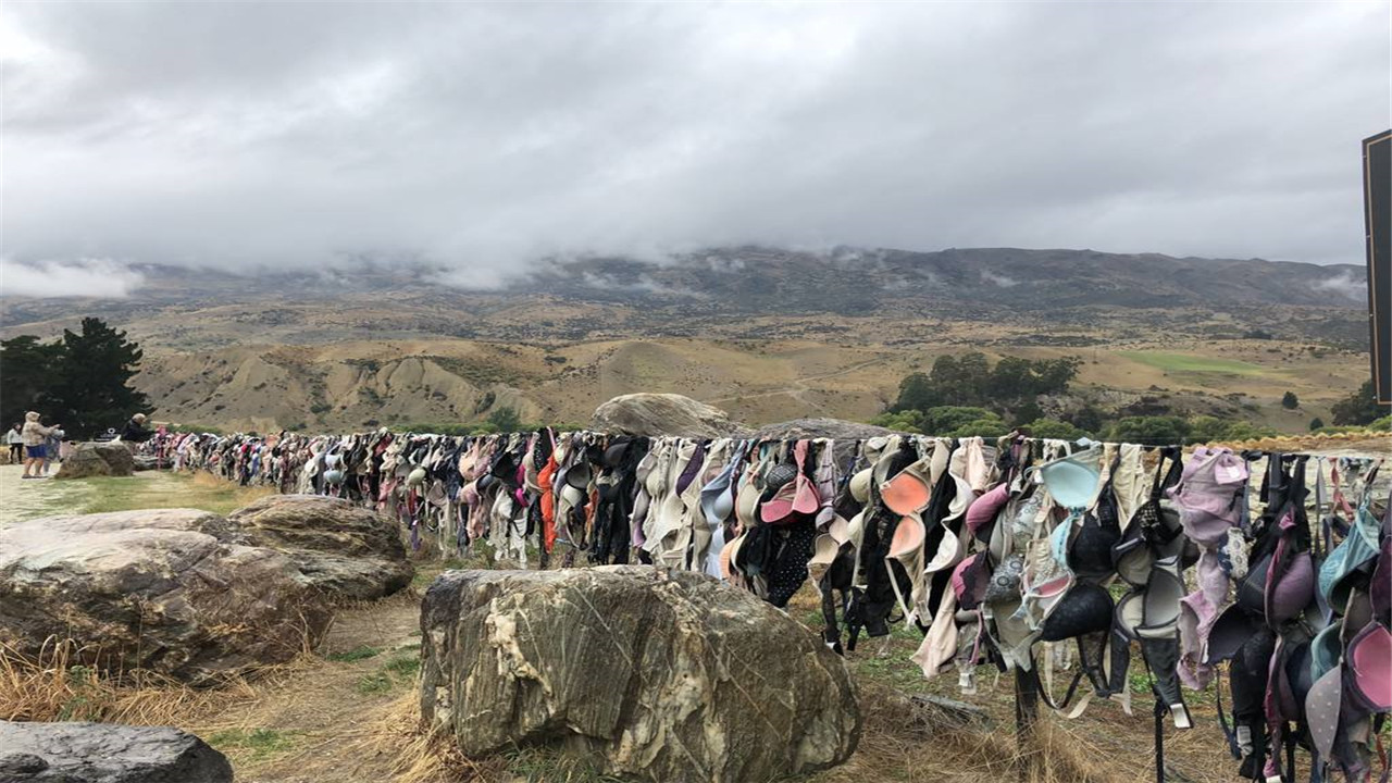 新西兰特色"内衣墙":女性到这就会脱掉内衣,男性却要求拆除