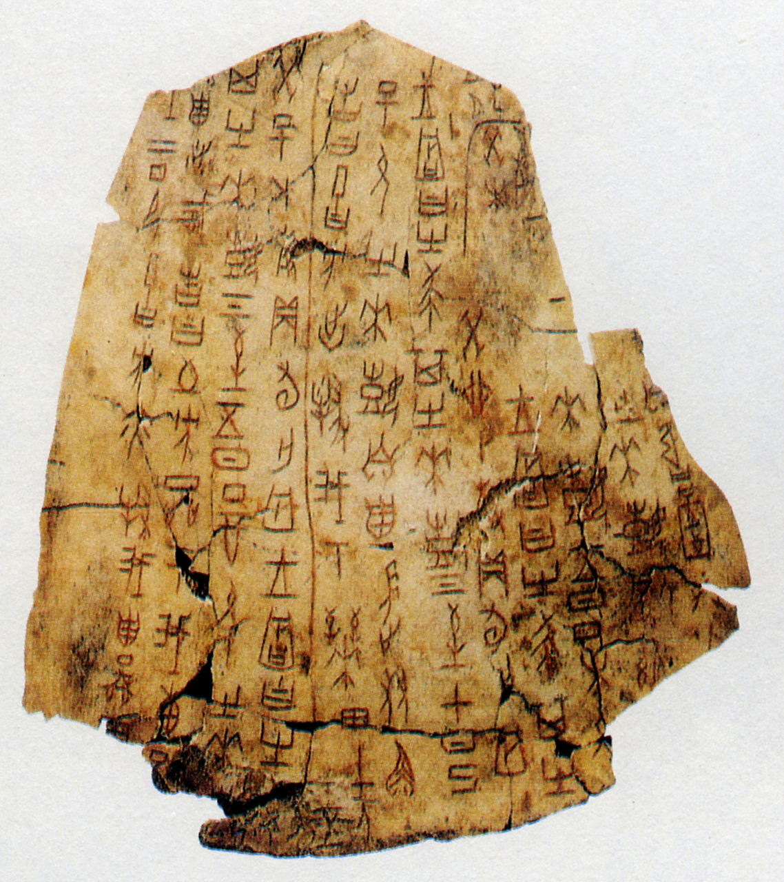 博物馆显眼包# 山西博物馆中的侯马盟书,是1965-1966年山西侯马市