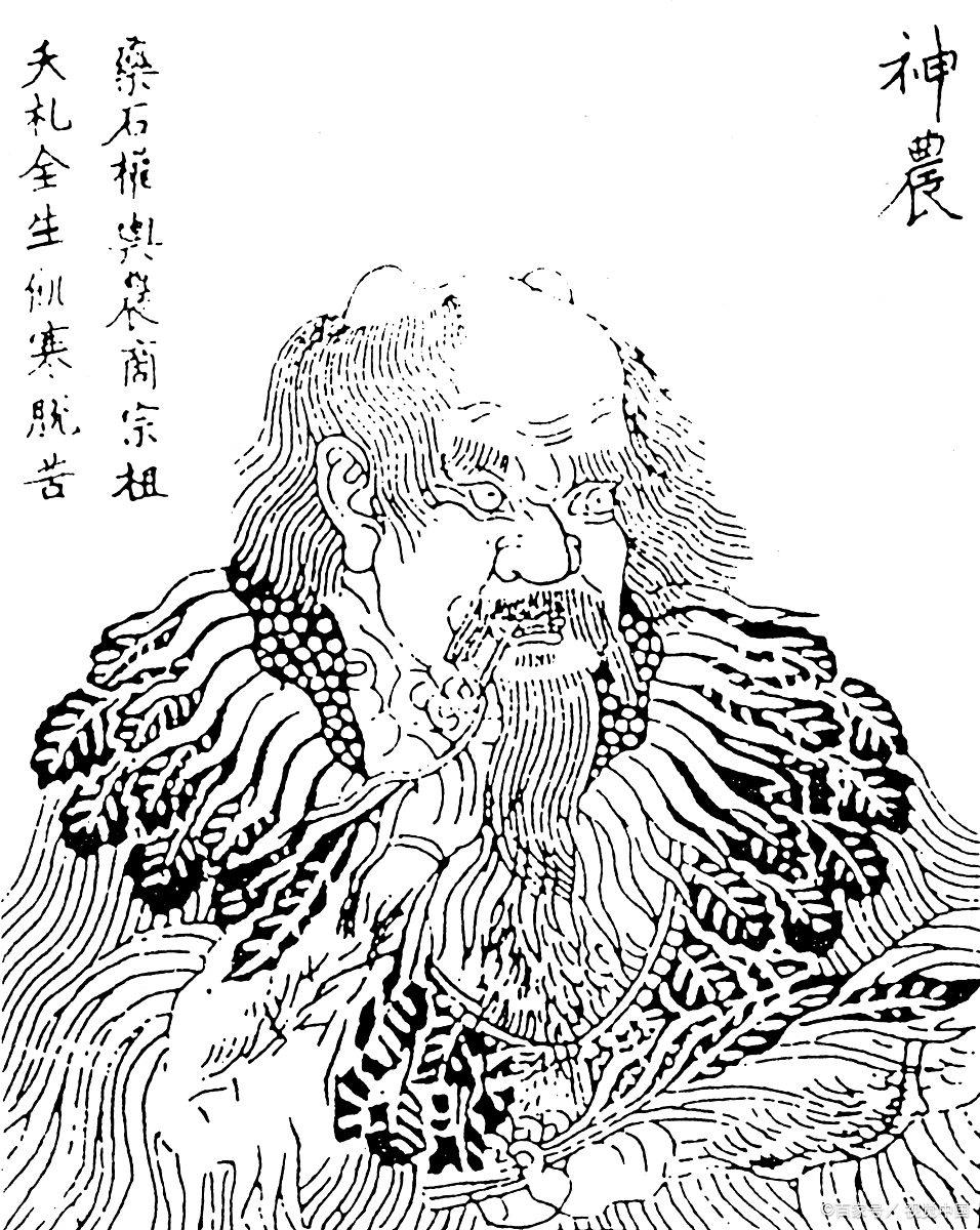 中华古文明历史《神农尝百草》