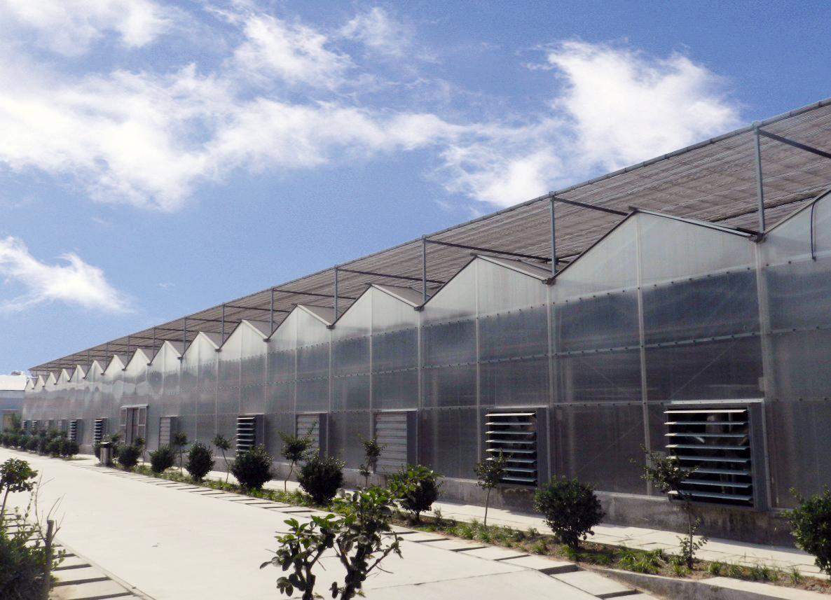 阳光板温室建设厂家