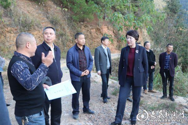 张希慧:立足特色产业助力乡村振兴 坚持文旅融合助推新农村建设