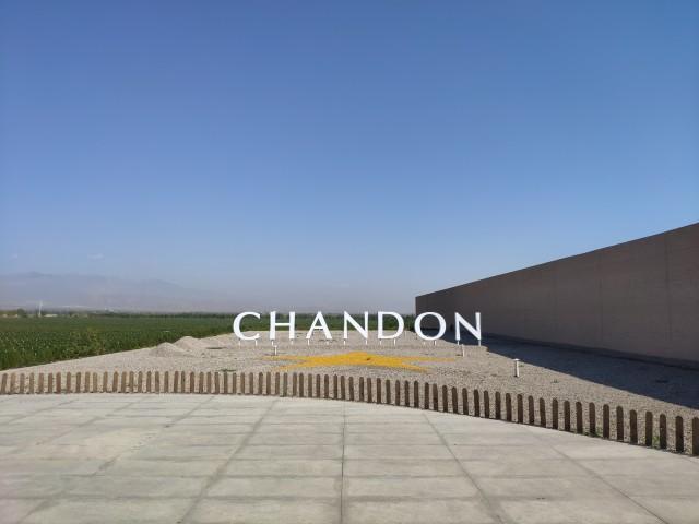 醉美宁夏丨夏桐酒庄:节日的梦幻气泡 在你的味蕾舞蹈