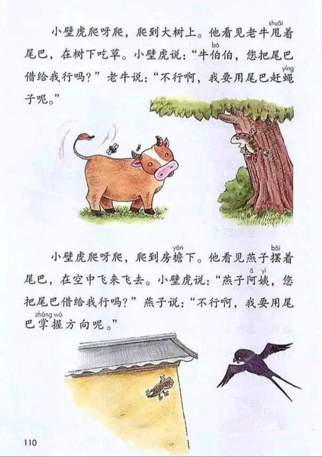 小壁虎借尾巴课文插图图片