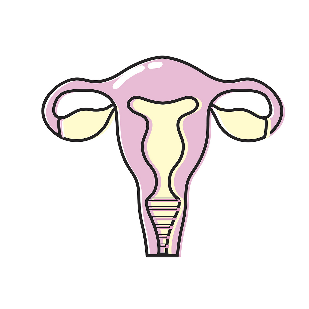 1,前列腺激素增多 月经期间子宫内膜脱落,破碎的子宫内膜细胞释放了