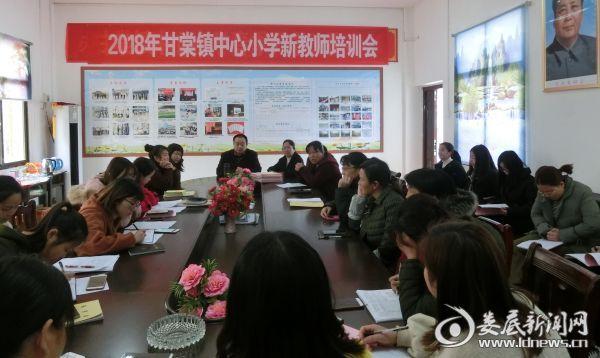 双峰县甘棠镇中心小学组织开展2018年新教师培训