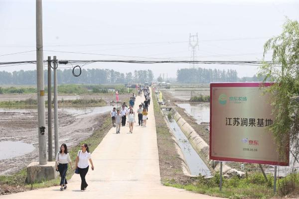 全国首个京东农场落户镇江 吃得放心全环节搞定