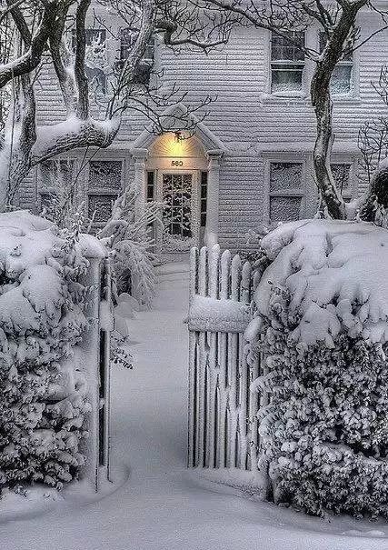 庭院雪景—飛舞的雪花不僅淨化霧霾的天空,也使人的思緒清晰明亮