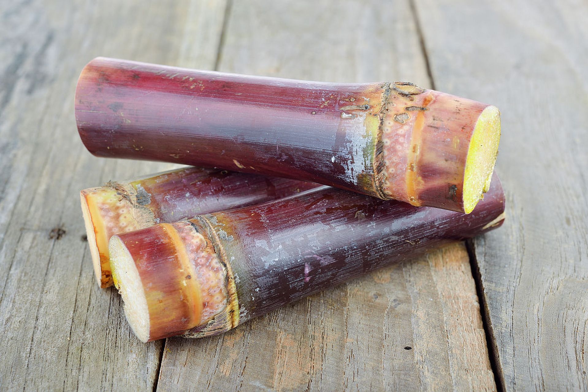 紫皮甘蔗和青皮甘蔗是两种常见的甘蔗品种,它们在外观,口感,营养成分