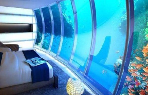 "迪拜一座"十星级"水下酒店,入住一晚3.6万,可与"鱼儿共眠""