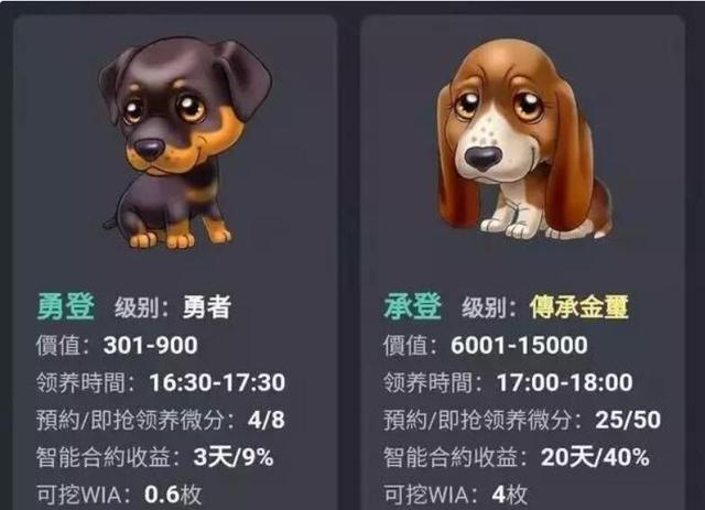 「净网2019」花十几万在线养"区块狗"?与区块链无关,与割韭菜有关