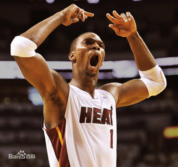 怒吼的波什:离歌