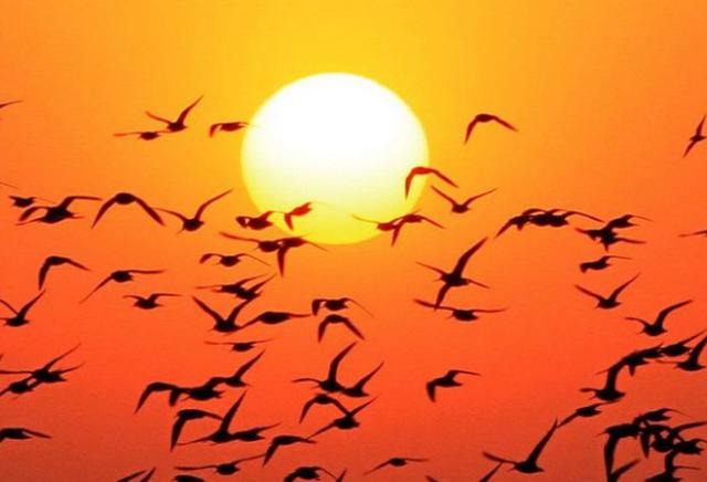 心理测试:3副太阳图,选一个,测你内心深处最想逃避的是什么