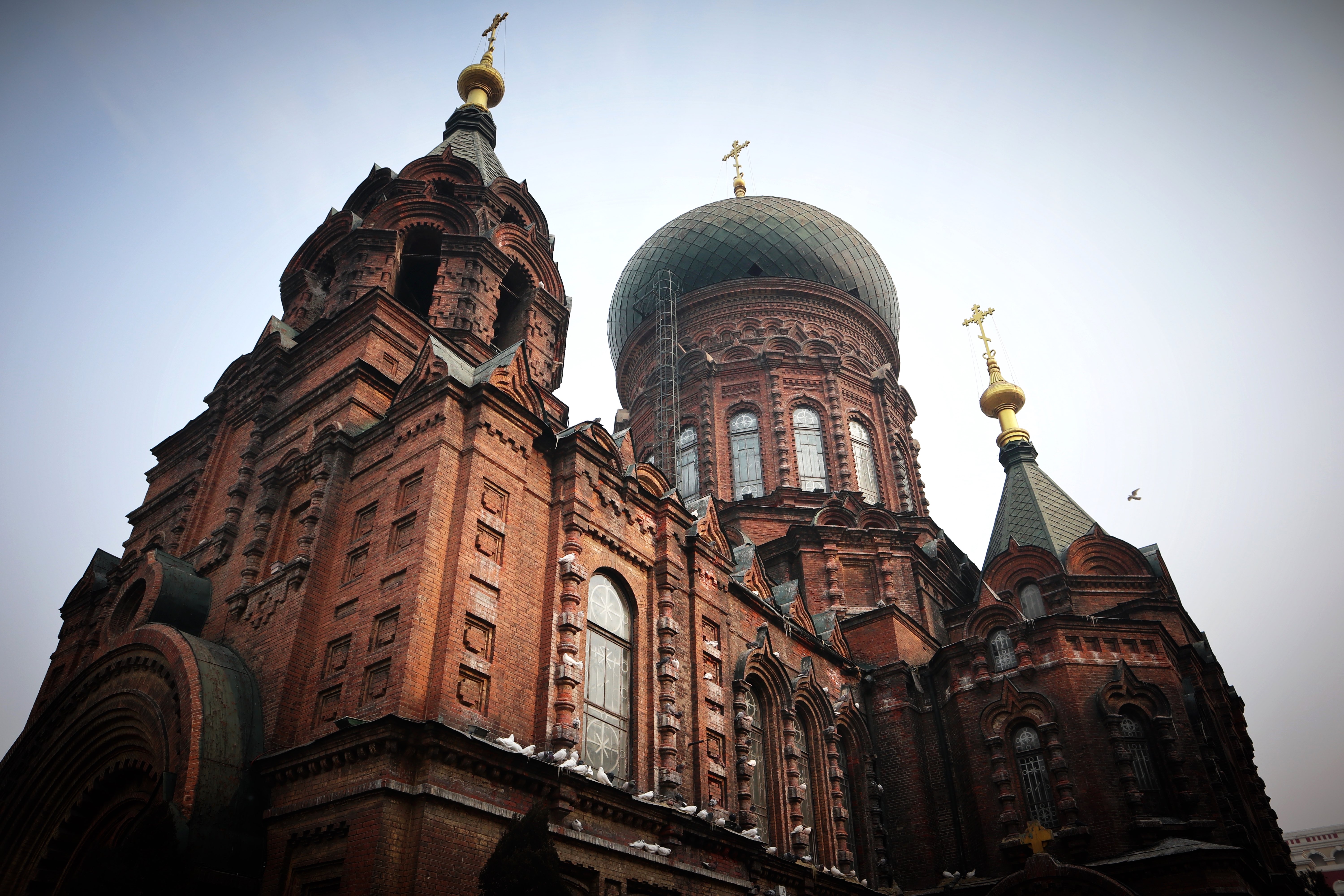 冬日来哈尔滨,不能错过这几个打卡景点