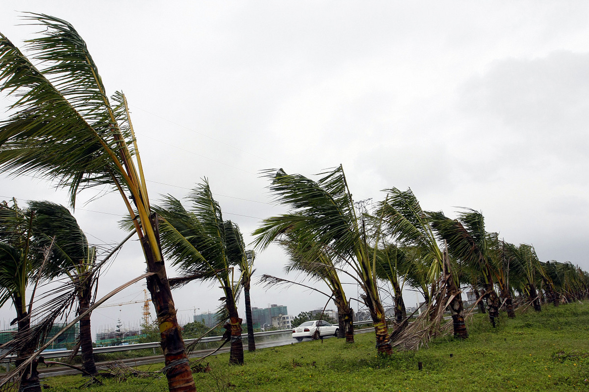 台风海葵# 据最新气象预报,第11号台风"海葵"已于5日5时20分在附è