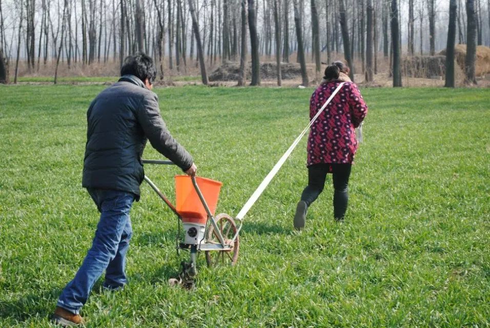 用这样施肥的方式,已经不多,但如今看到,依然倍感温馨.