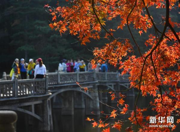 江西庐山:枫叶美景迎客来