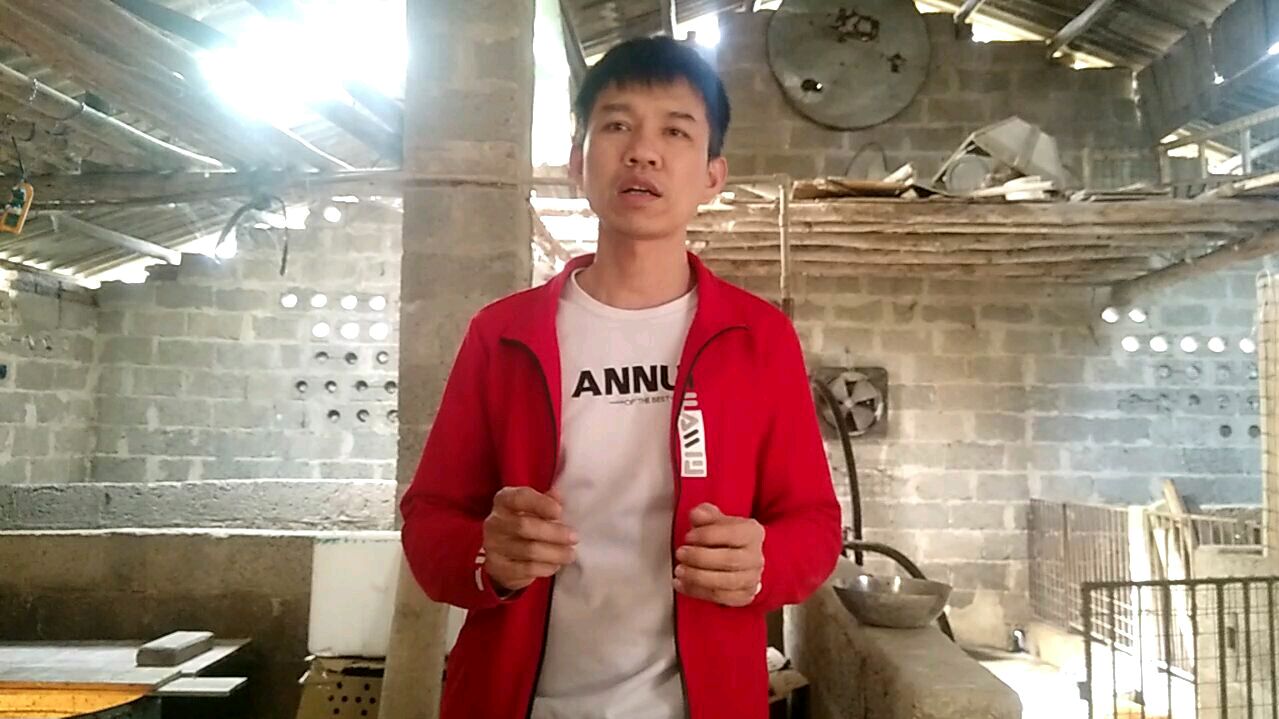 小鸡如何区分公母,用这个方法一看就懂