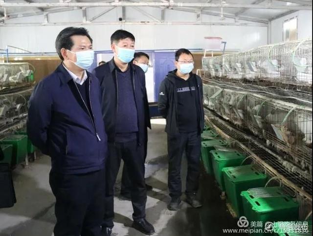 袁良善深入山阳县天竺山镇,延坪镇督导检查农村饮水安全,交通扶贫工作