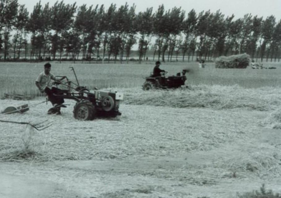 上世纪90年代农村老照片,不知看哭了多少80后?