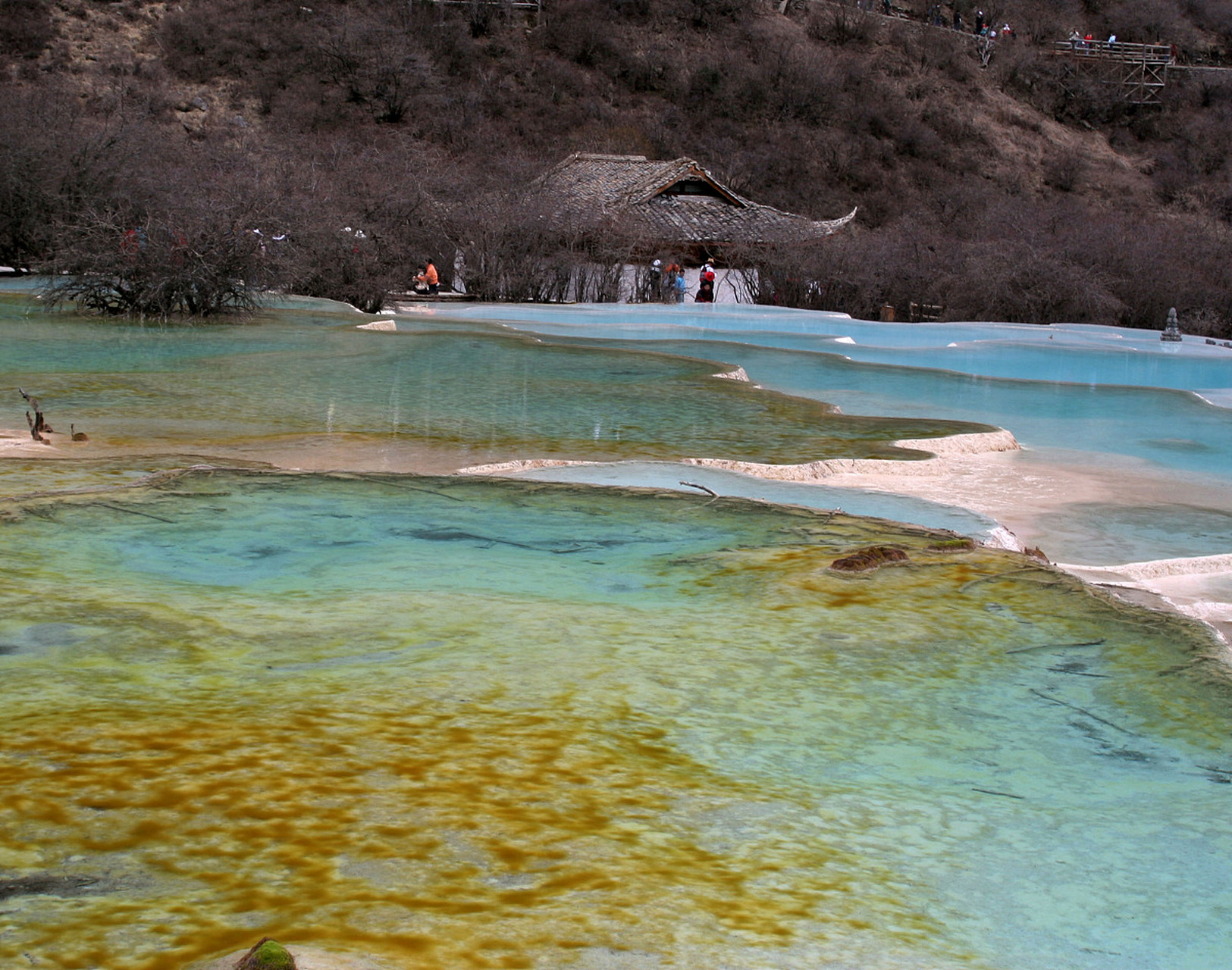 我给大家介绍一个国家5a级旅游景区:阿坝州黄龙景区.