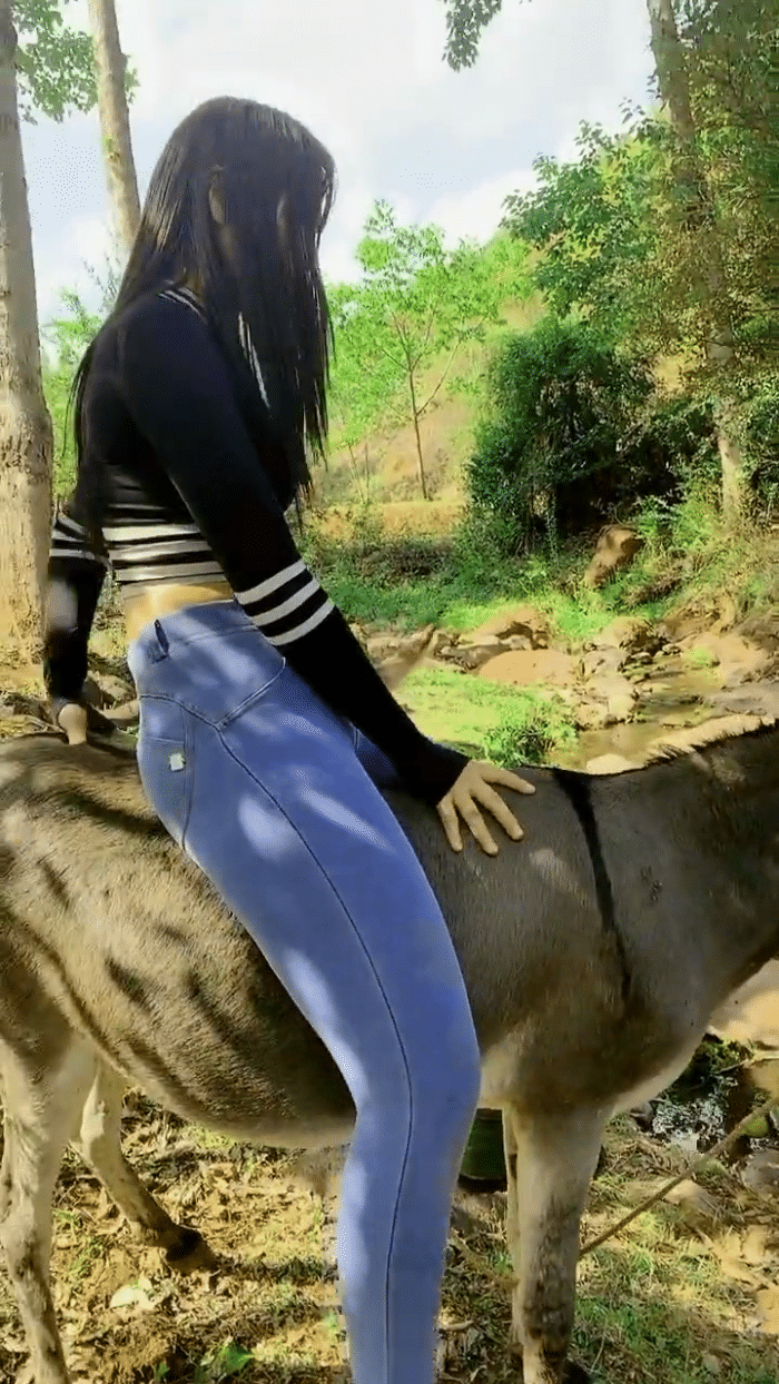 农村姑娘骑驴图片