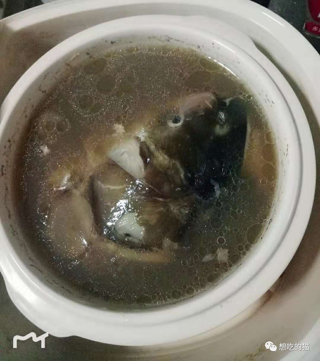 經典藥膳:天麻防風燉魚頭